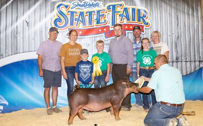 Champion Purebred, 5th Overall Market Hog – 2022 South Dakota State Fair 4-H Show