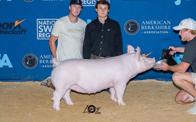 Reserve Champion Yorkshire Gilt – 2022 Exposition Open Show – Des Moines, IA