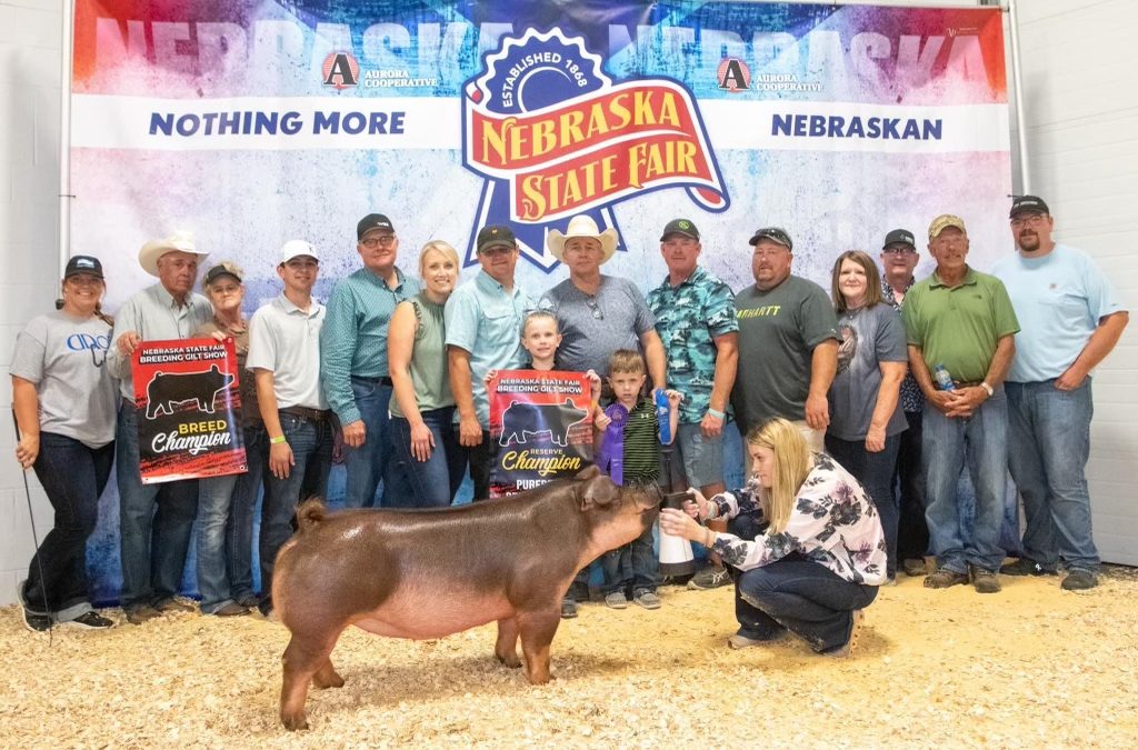 Champion Duroc, Reserve Purebred Gilt – 2022 Nebraska State Fair Open Show