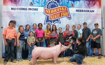 Champion Yorkshire Barrow – 2022 Nebraska State Fair