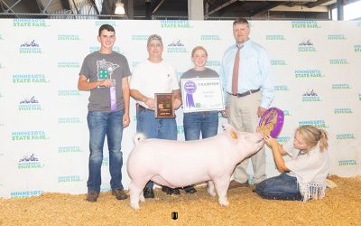 Champion Yorkshire Barrow – 2022 Minnesota State Fair
