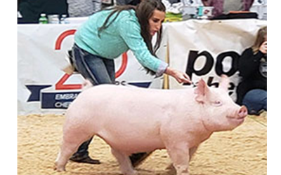 Champion Yorkshire & Reserve Overall Barrow – 2019 NJSA Western Regional