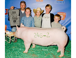 Reserve Champion & Top Selling Yorkshire Gilt – 2016 SWTC – Belton, TX