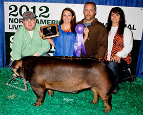 Champion Duroc Market Hog – 2012 NAILE – Louisville, KY