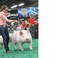 4th Overall Yorkshire Barrow – 2015 NJSS – Louisville, KY