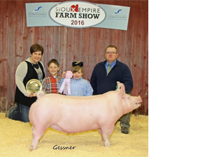 Champion Purebred & Reserve Overall – 2016 Sioux Empire Farm Show