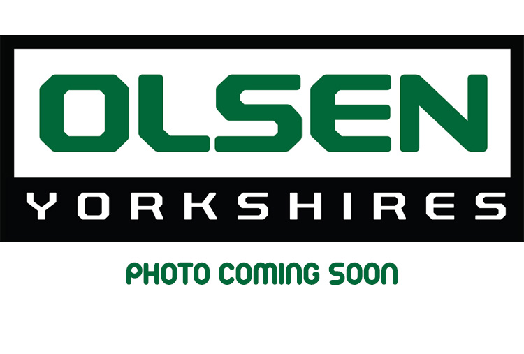 CDO5 BIG TRACKS 50-9